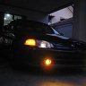 oak_eg